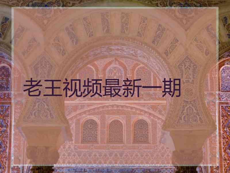 老王视频最新一期