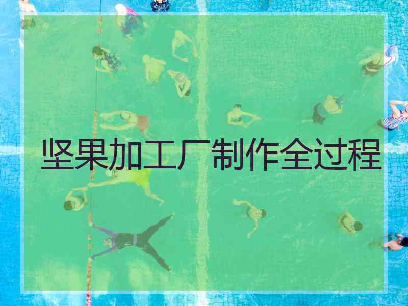 坚果加工厂制作全过程