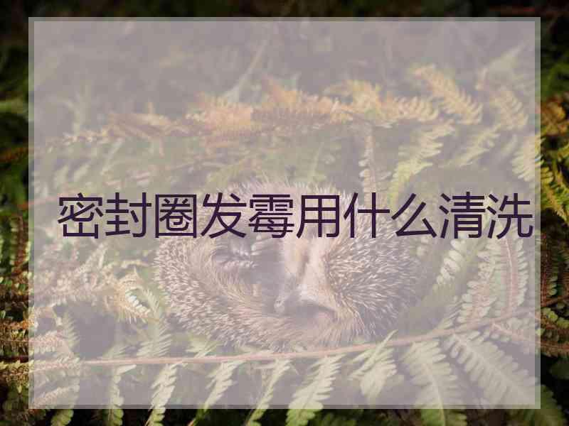 密封圈发霉用什么清洗