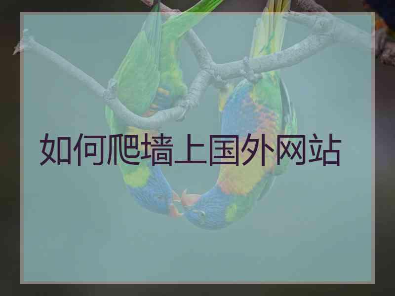 如何爬墙上国外网站