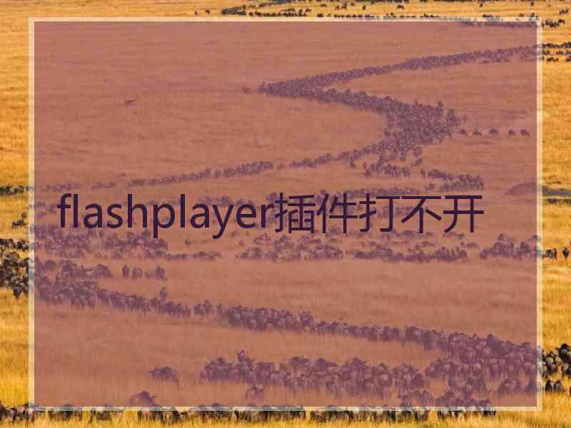flashplayer插件打不开