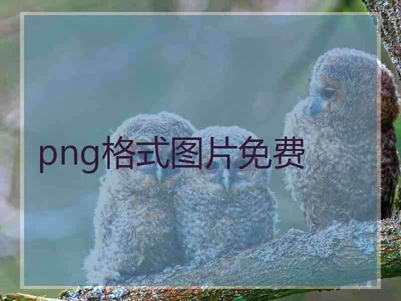 png格式图片免费