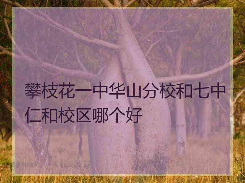 攀枝花一中华山分校和七中仁和校区哪个好