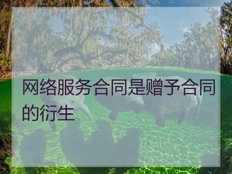 网络服务合同是赠予合同的衍生