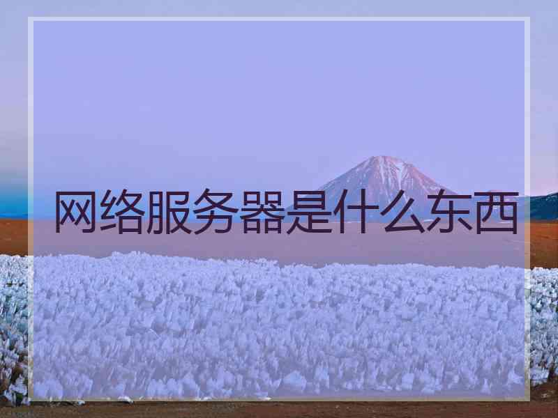 网络服务器是什么东西