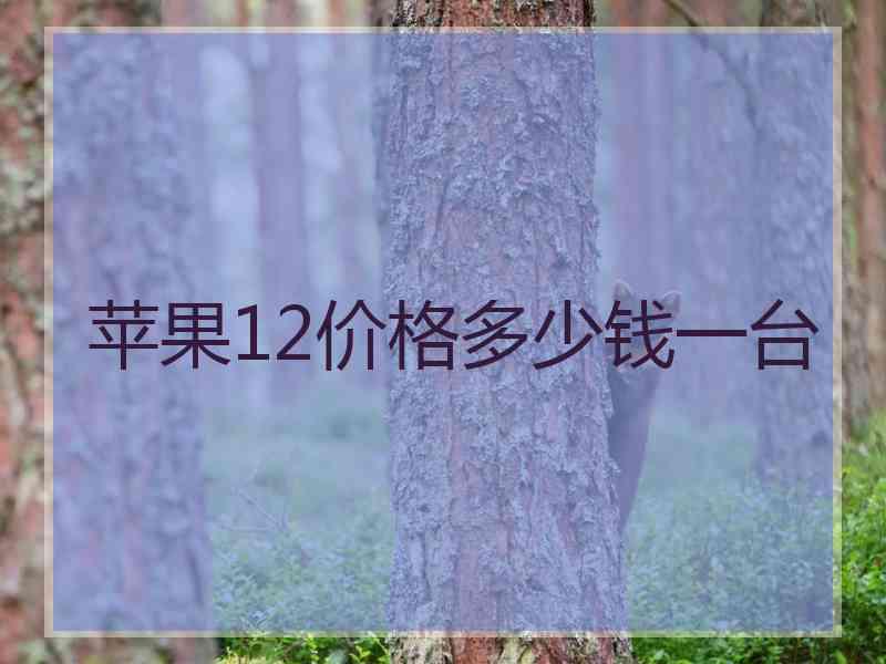 苹果12价格多少钱一台