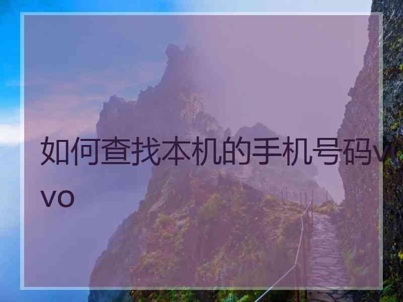 如何查找本机的手机号码vivo