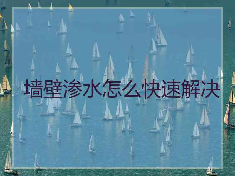 墙壁渗水怎么快速解决
