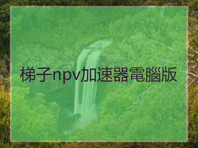 梯子npv加速器電腦版