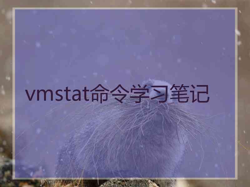 vmstat命令学习笔记