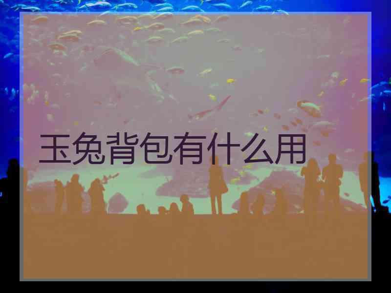 玉兔背包有什么用
