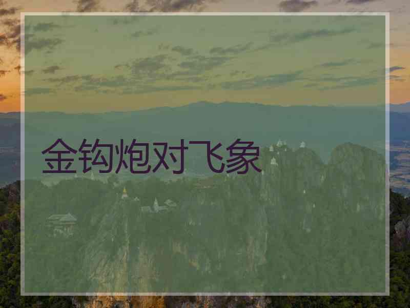 金钩炮对飞象