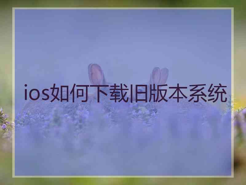 ios如何下载旧版本系统