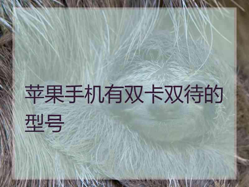 苹果手机有双卡双待的型号