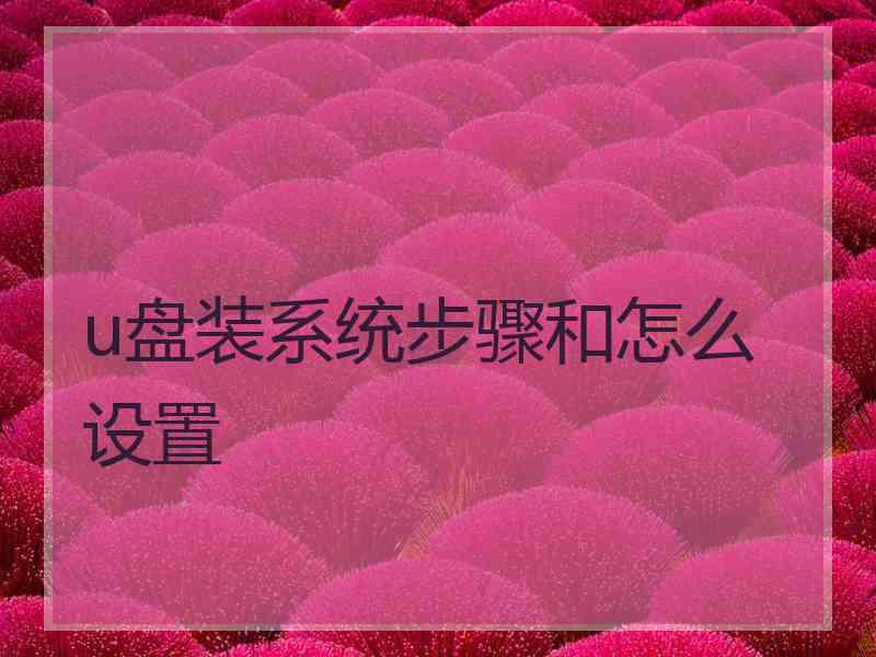 u盘装系统步骤和怎么设置