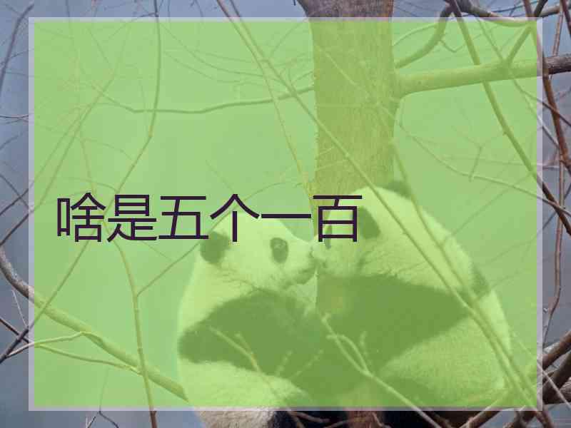 啥是五个一百