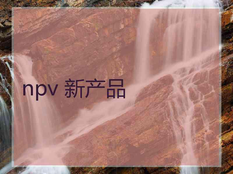 npv 新产品