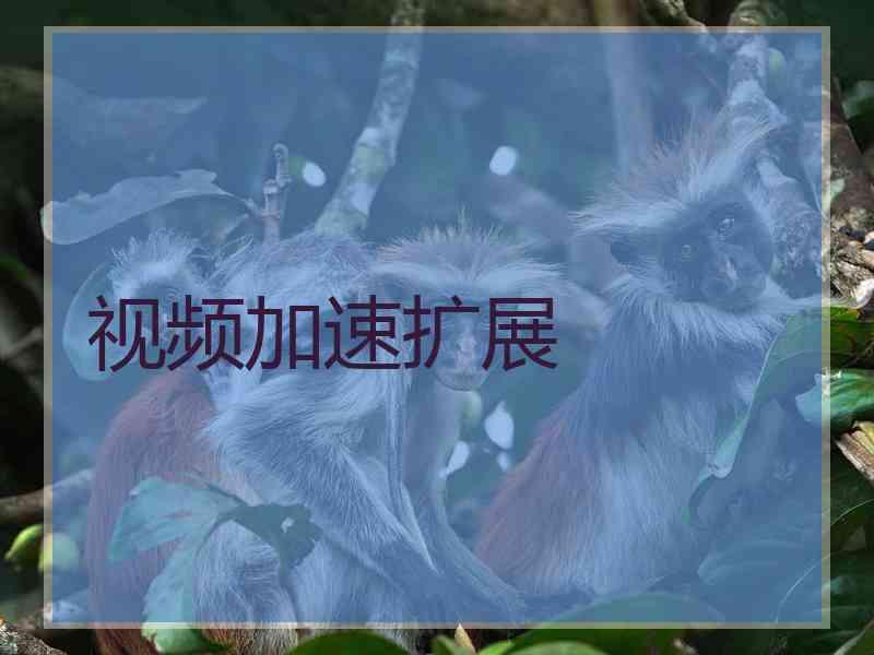 视频加速扩展