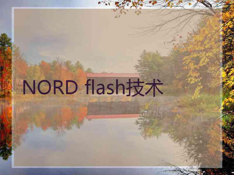 NORD flash技术