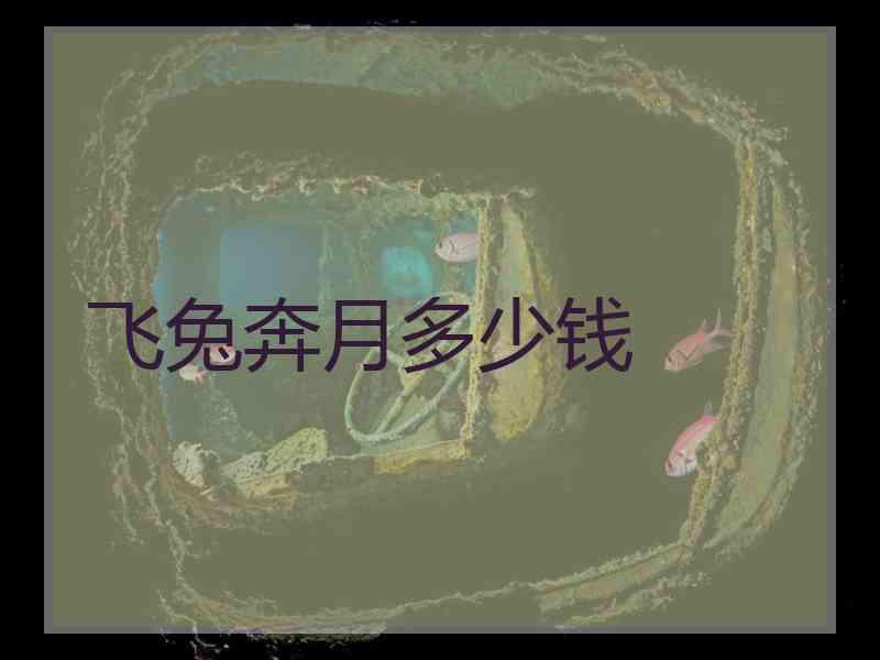 飞兔奔月多少钱