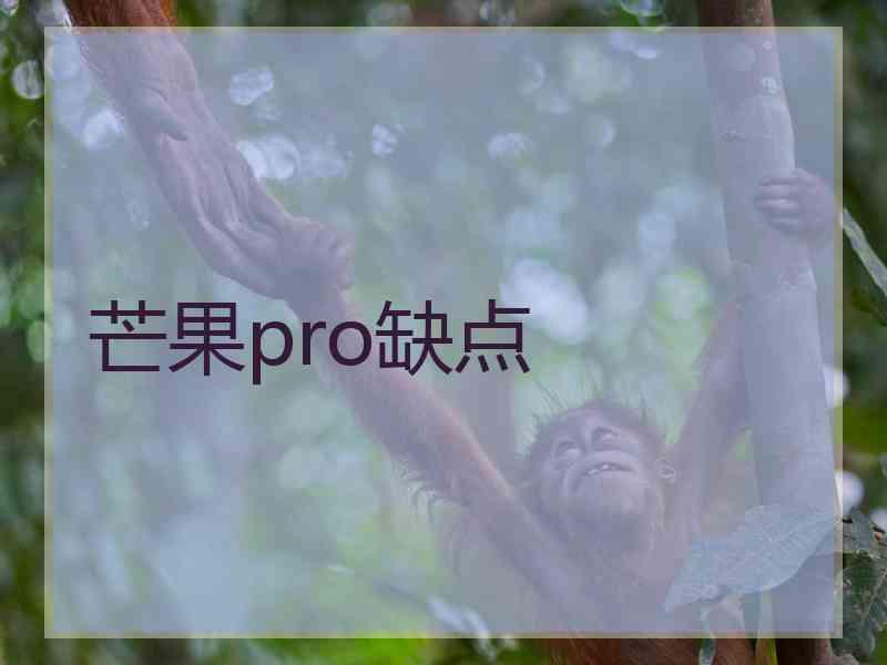 芒果pro缺点