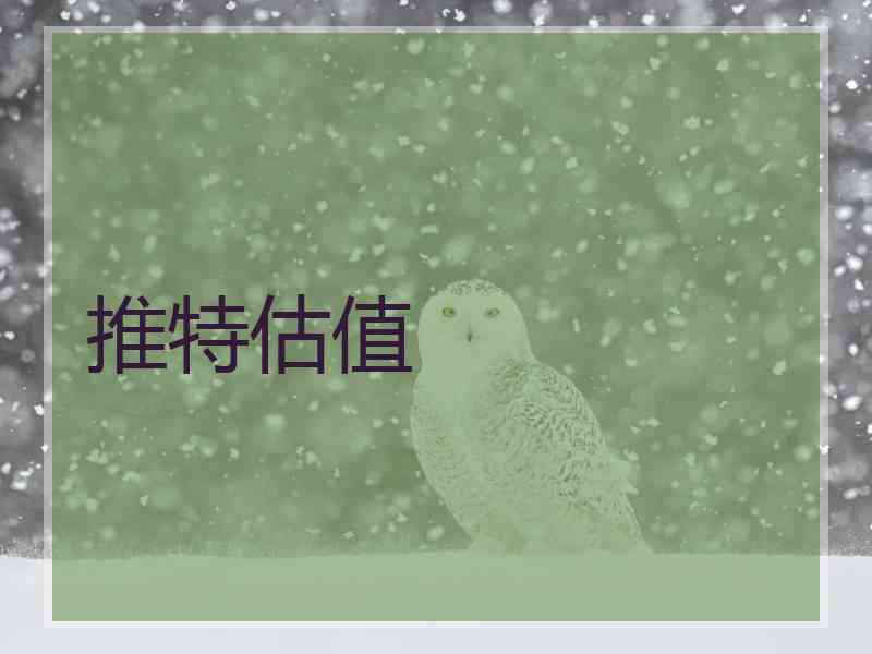 推特估值