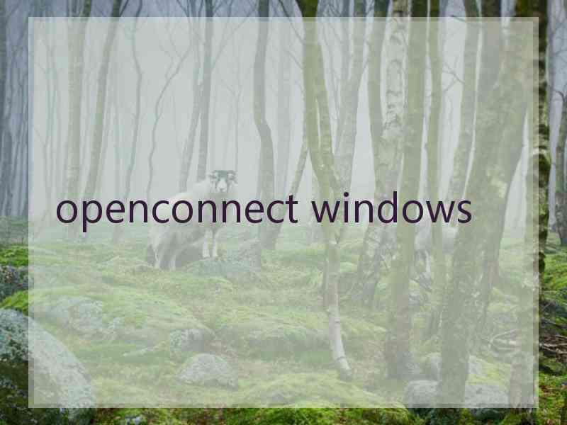 openconnect windows
