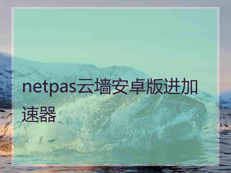 netpas云墙安卓版进加速器