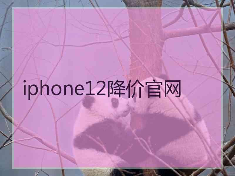 iphone12降价官网