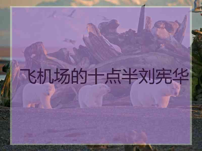 飞机场的十点半刘宪华