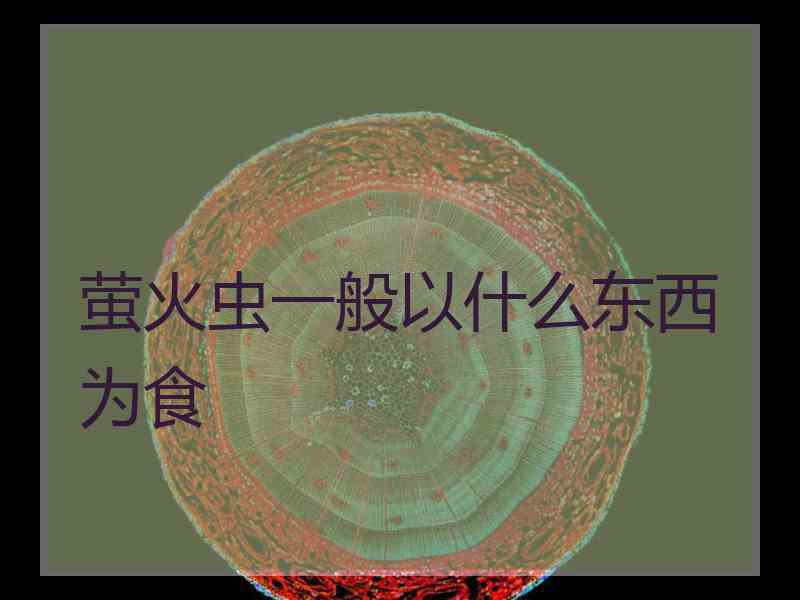 萤火虫一般以什么东西为食