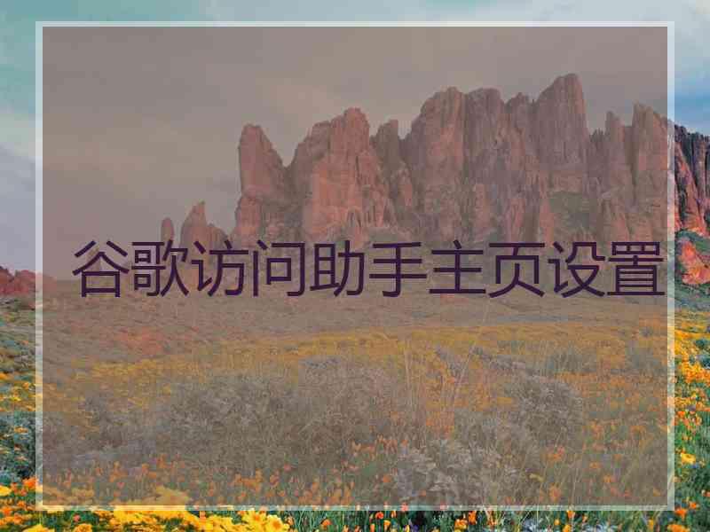 谷歌访问助手主页设置