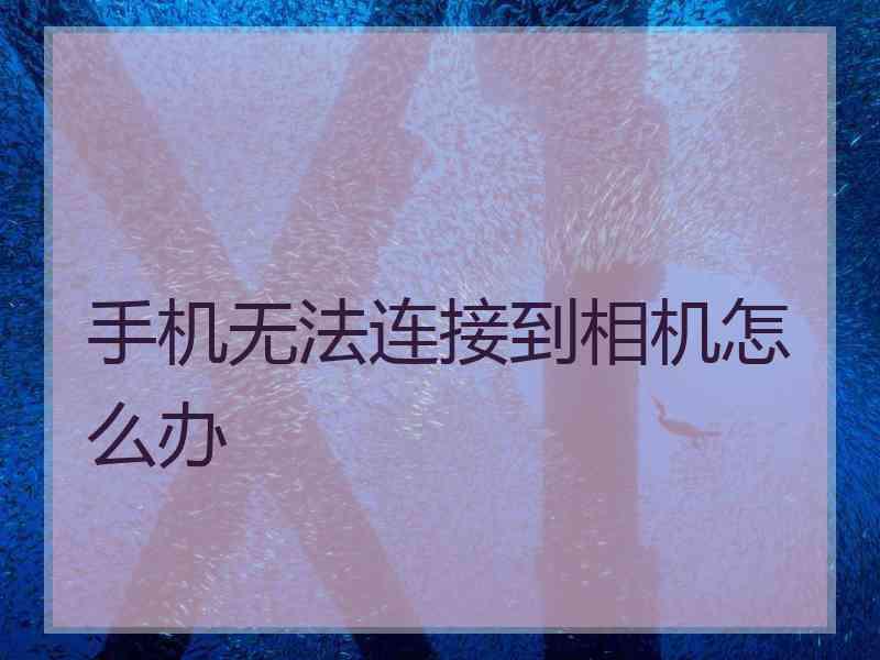 手机无法连接到相机怎么办