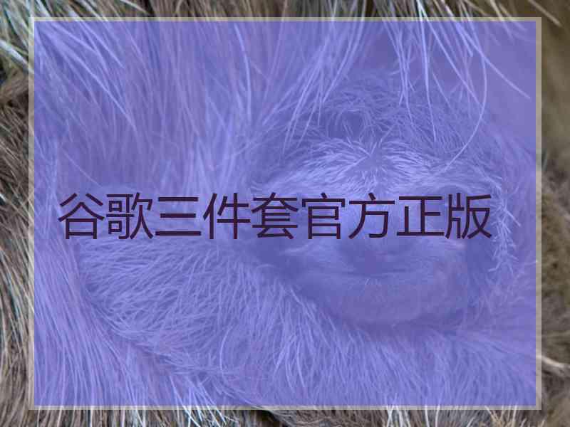 谷歌三件套官方正版