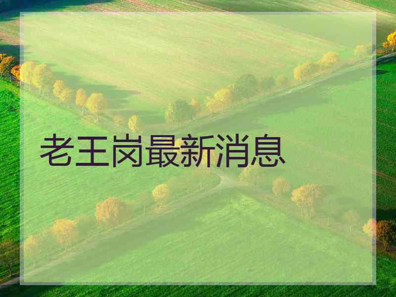 老王岗最新消息