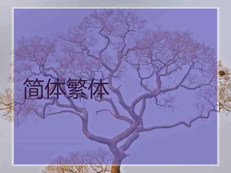 简体繁体