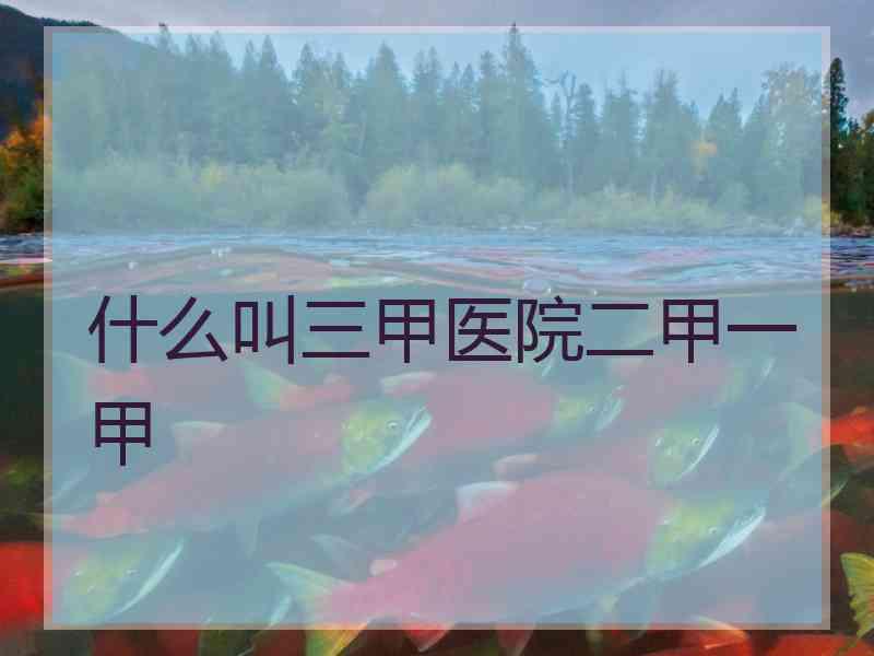 什么叫三甲医院二甲一甲