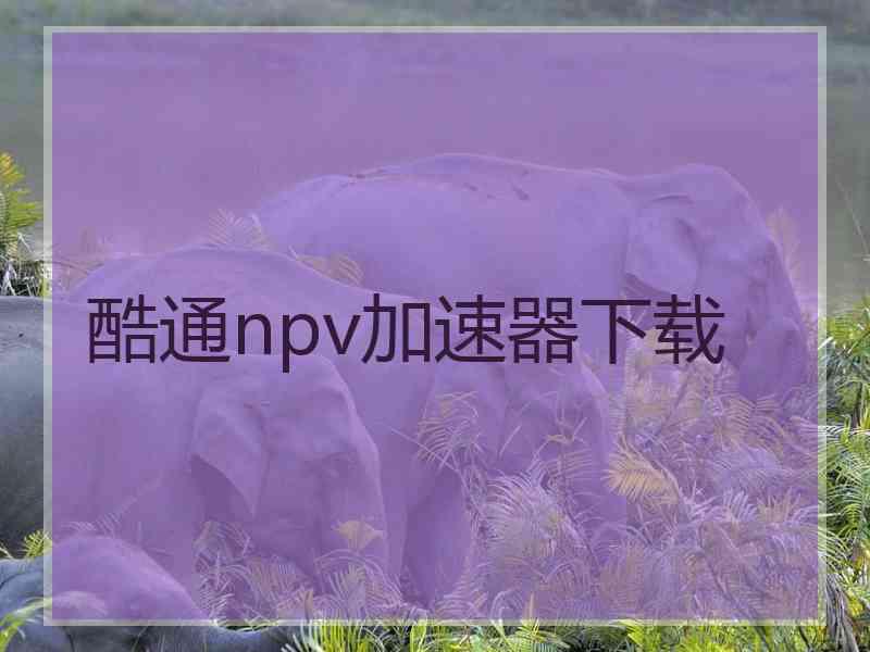 酷通npv加速器下载