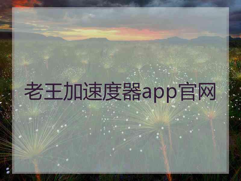 老王加速度器app官网