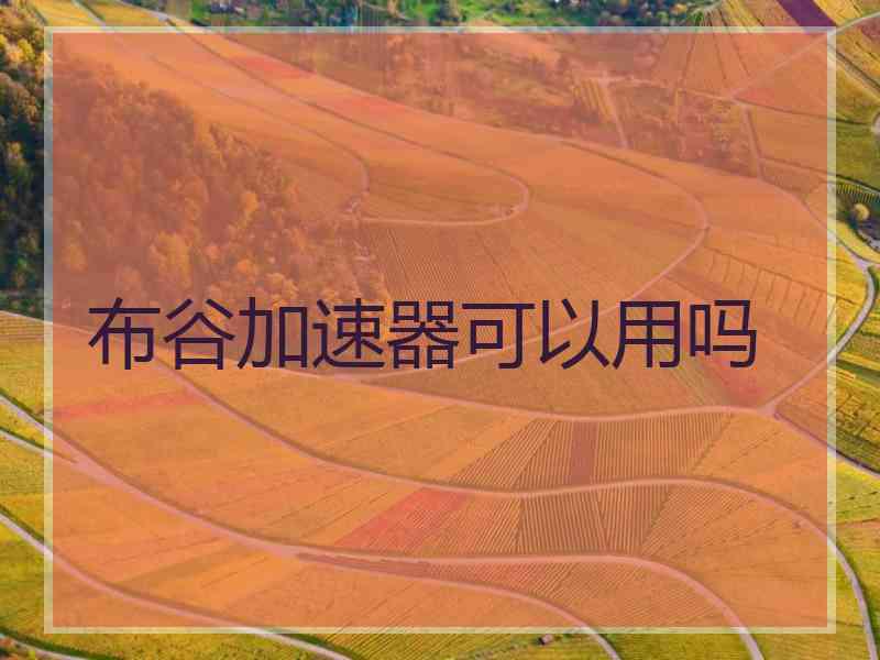 布谷加速器可以用吗