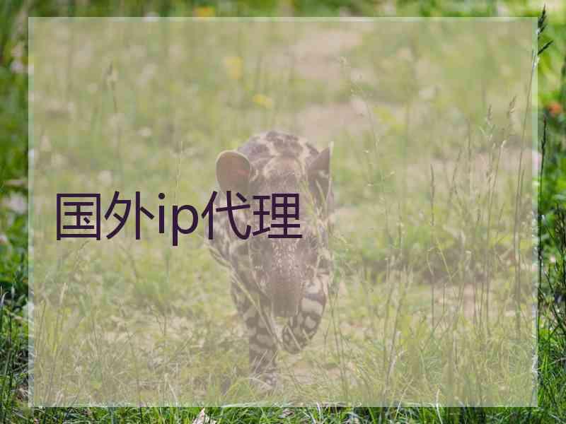 国外ip代理