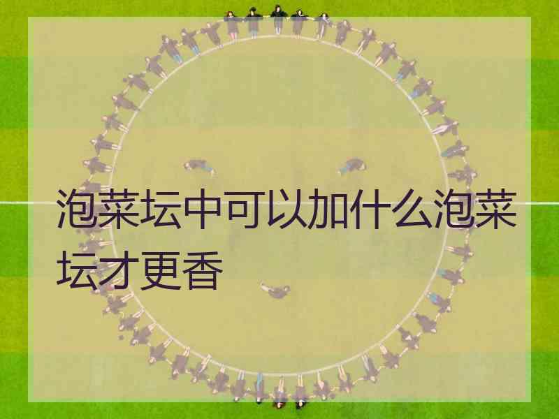 泡菜坛中可以加什么泡菜坛才更香