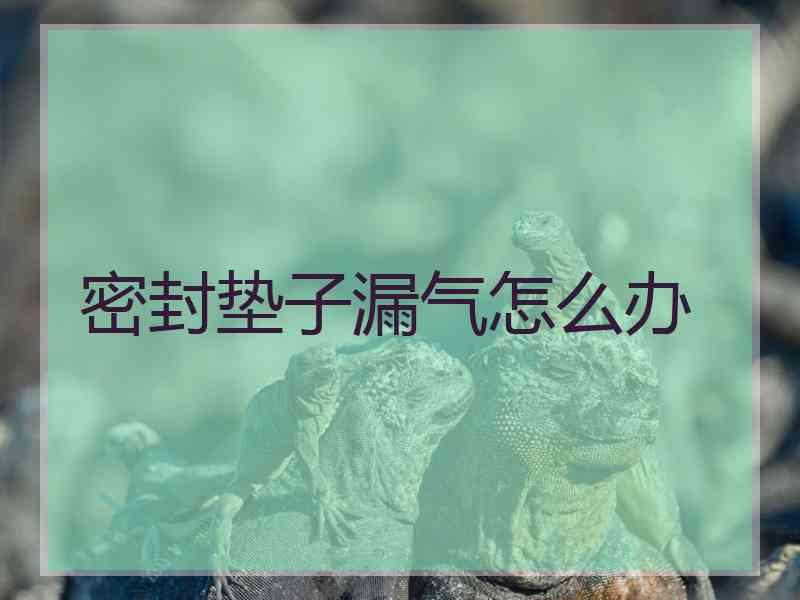密封垫子漏气怎么办