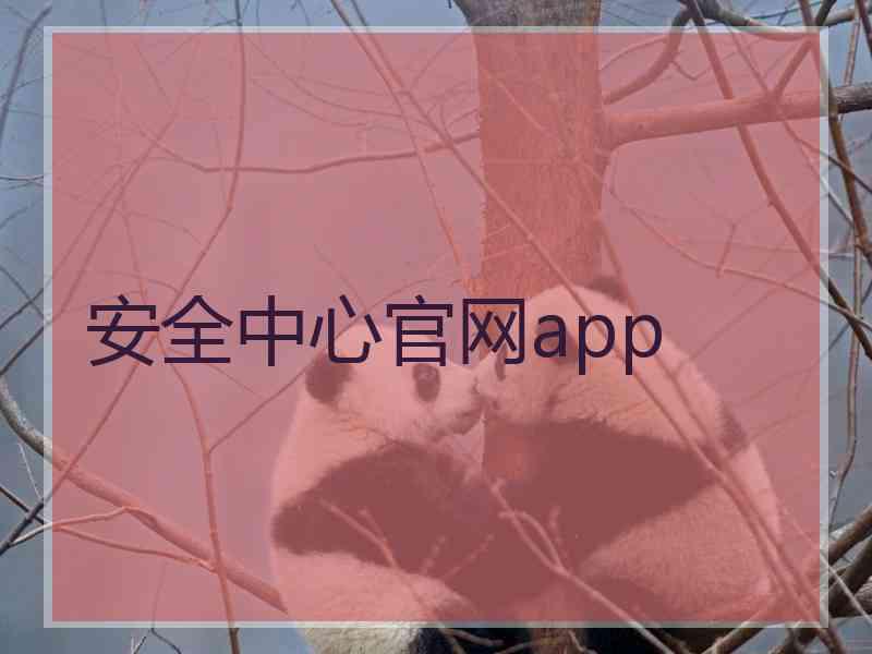 安全中心官网app
