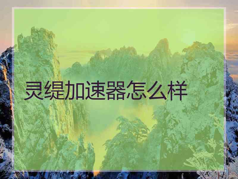 灵缇加速器怎么样
