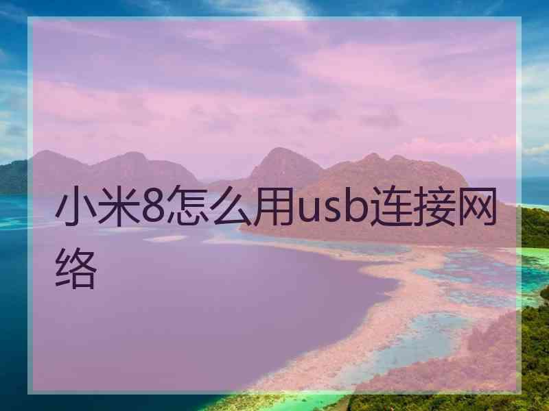 小米8怎么用usb连接网络