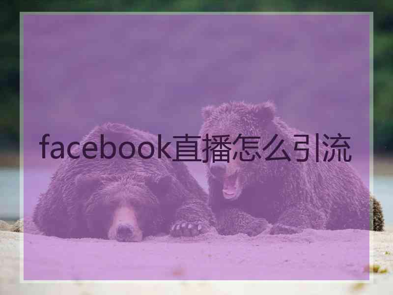 facebook直播怎么引流