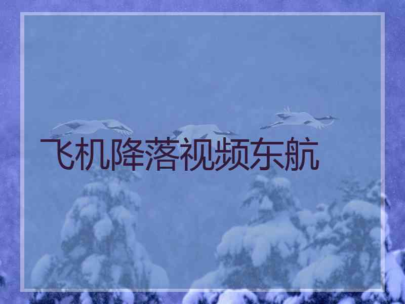 飞机降落视频东航