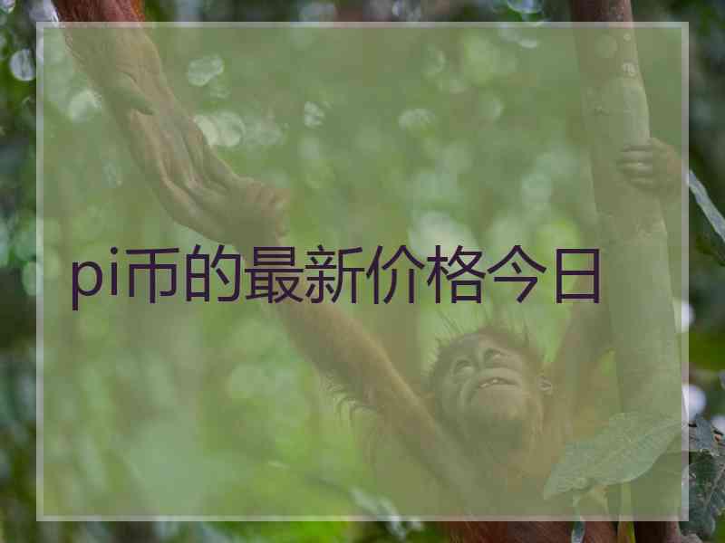 pi币的最新价格今日