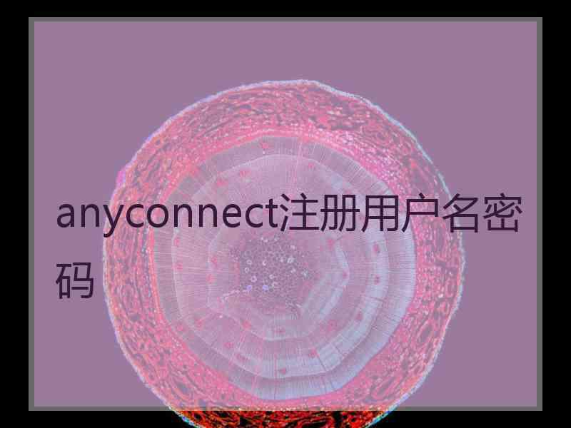 anyconnect注册用户名密码